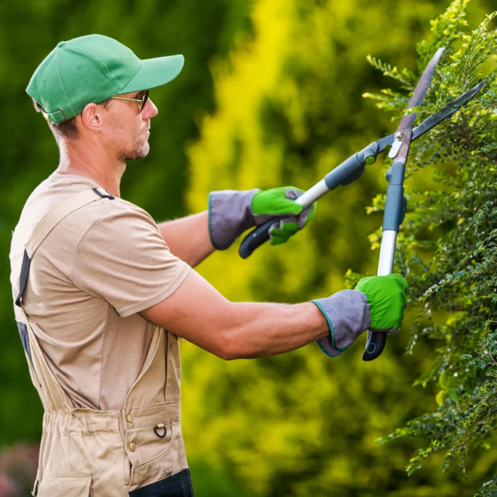 Tradesperson trimming a hedge